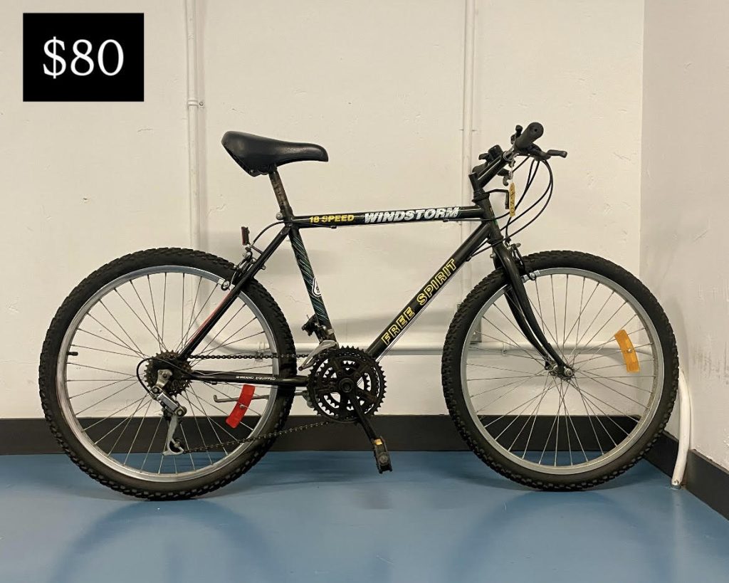 $80 Windstorm Free Spirit - for rider around 5'3